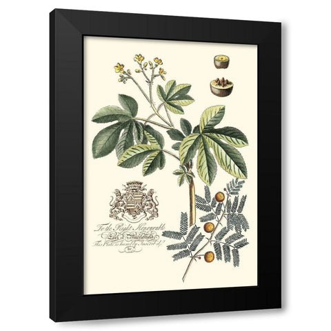 Imperial Foliage I Black Modern Wood Framed Art Print with Double Matting by Vision Studio