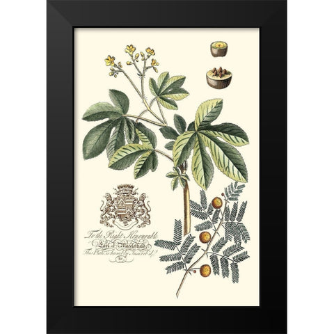 Imperial Foliage I Black Modern Wood Framed Art Print by Vision Studio