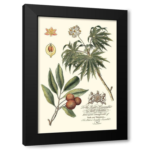 Imperial Foliage II Black Modern Wood Framed Art Print with Double Matting by Vision Studio