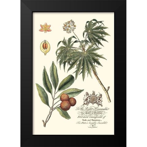 Imperial Foliage II Black Modern Wood Framed Art Print by Vision Studio