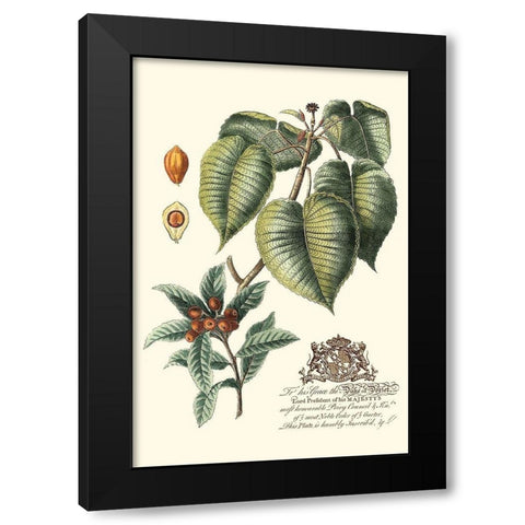 Imperial Foliage III Black Modern Wood Framed Art Print by Vision Studio