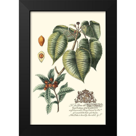 Imperial Foliage III Black Modern Wood Framed Art Print by Vision Studio