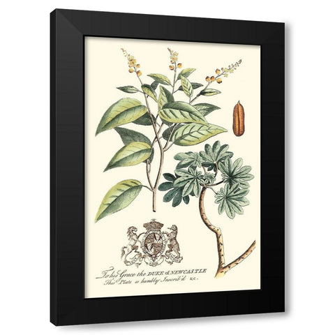 Imperial Foliage IV Black Modern Wood Framed Art Print by Vision Studio