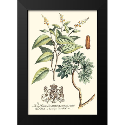 Imperial Foliage IV Black Modern Wood Framed Art Print by Vision Studio