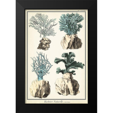 Oversize Coral Species III Black Modern Wood Framed Art Print by Vision Studio