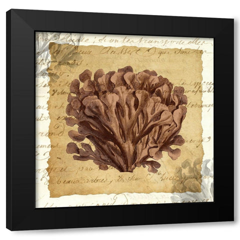 La Vie en Mer III Black Modern Wood Framed Art Print by Vision Studio