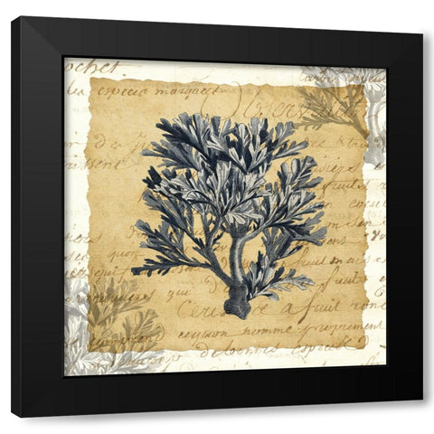 La Vie en Mer IV Black Modern Wood Framed Art Print with Double Matting by Vision Studio
