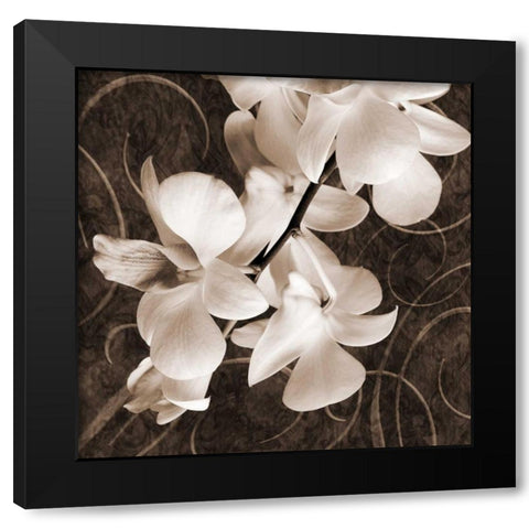 Orchid and Swirls I Black Modern Wood Framed Art Print by Zalewski, Christine