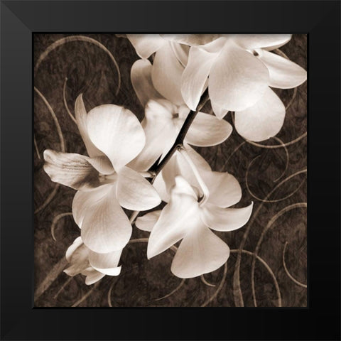 Orchid and Swirls I Black Modern Wood Framed Art Print by Zalewski, Christine