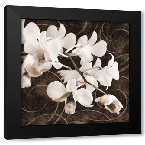 Orchid and Swirls II Black Modern Wood Framed Art Print with Double Matting by Zalewski, Christine