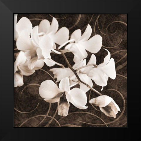 Orchid and Swirls II Black Modern Wood Framed Art Print by Zalewski, Christine
