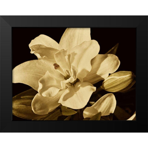 Yvoire Flower I Black Modern Wood Framed Art Print by Perry, Rachel