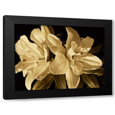 Yvoire Flower II Black Modern Wood Framed Art Print by Perry, Rachel