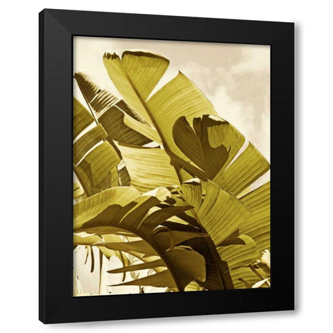 Palm Fronds I Black Modern Wood Framed Art Print by Perry, Rachel