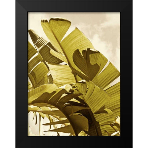 Palm Fronds I Black Modern Wood Framed Art Print by Perry, Rachel