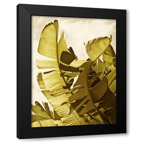 Palm Fronds II Black Modern Wood Framed Art Print by Perry, Rachel