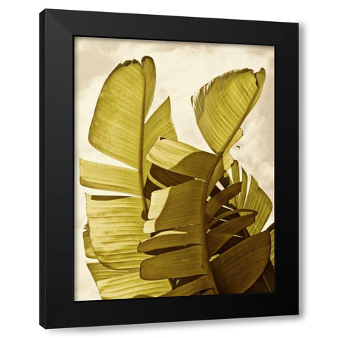 Palm Fronds III Black Modern Wood Framed Art Print by Perry, Rachel