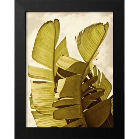 Palm Fronds III Black Modern Wood Framed Art Print by Perry, Rachel