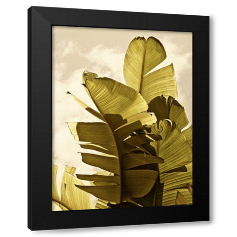 Palm Fronds IV Black Modern Wood Framed Art Print by Perry, Rachel