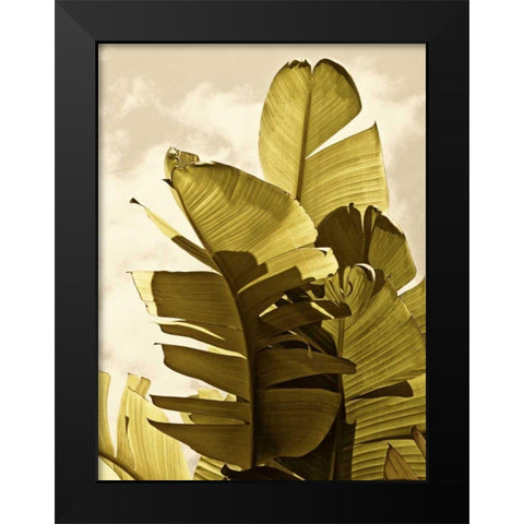 Palm Fronds IV Black Modern Wood Framed Art Print by Perry, Rachel
