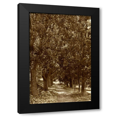 Road to Giverny Black Modern Wood Framed Art Print by Perry, Rachel