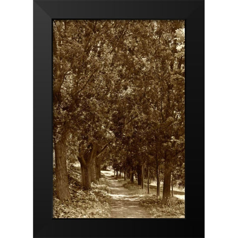 Road to Giverny Black Modern Wood Framed Art Print by Perry, Rachel