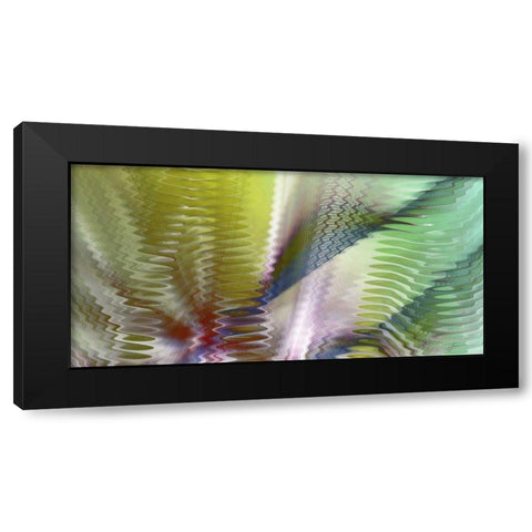 Symphonic II Black Modern Wood Framed Art Print by Burghardt, James