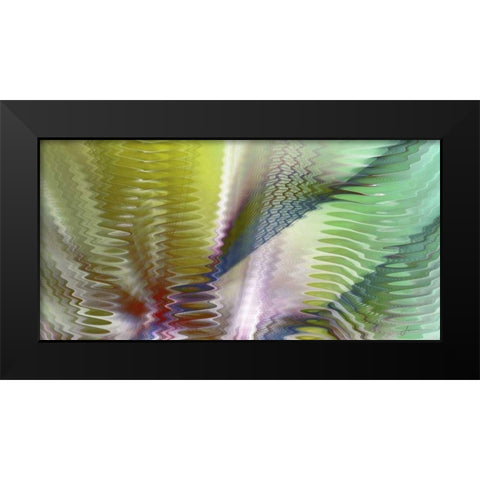Symphonic II Black Modern Wood Framed Art Print by Burghardt, James