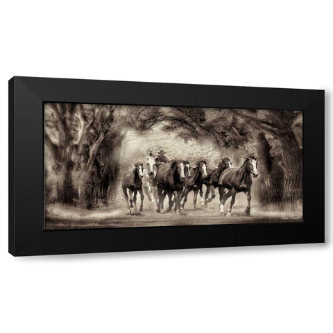 The Chase II Black Modern Wood Framed Art Print by Drost, David