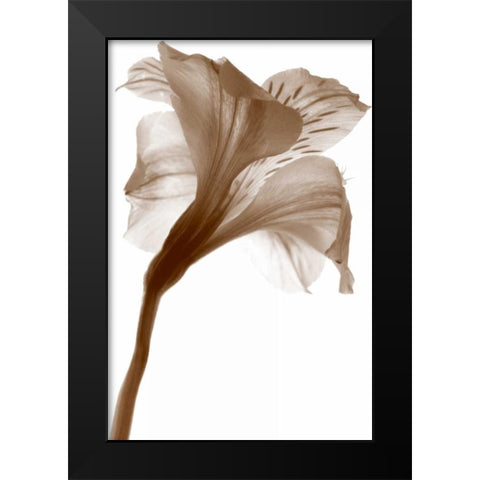 Inflorescence I Black Modern Wood Framed Art Print by Project, A.