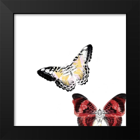 Butterflies Dance V Black Modern Wood Framed Art Print by Project, A.