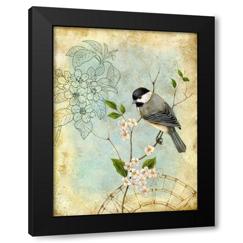 Songbird Sketchbook II Black Modern Wood Framed Art Print by Maday, Jane