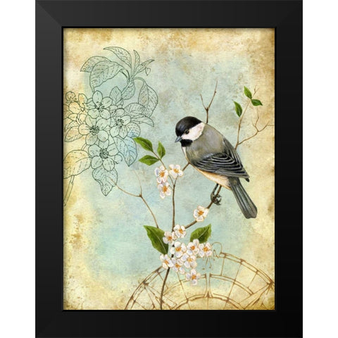 Songbird Sketchbook II Black Modern Wood Framed Art Print by Maday, Jane