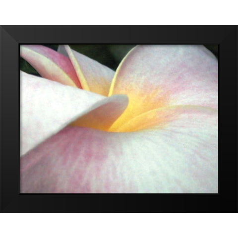 Flowers II Black Modern Wood Framed Art Print by Christensen, Jim