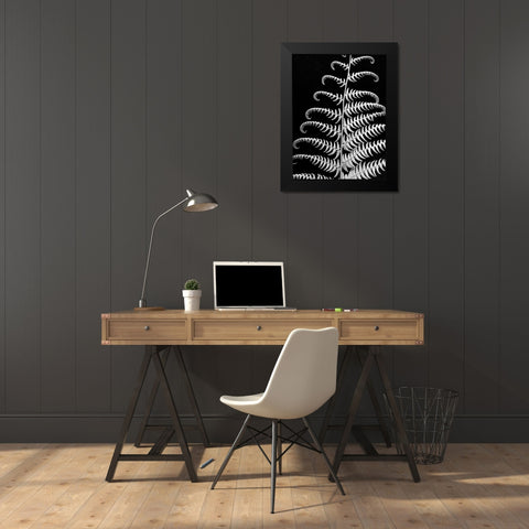 Fern II Black Modern Wood Framed Art Print by Christensen, Jim