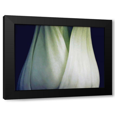 Bok Choy I Black Modern Wood Framed Art Print by Christensen, Jim