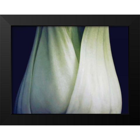 Bok Choy I Black Modern Wood Framed Art Print by Christensen, Jim