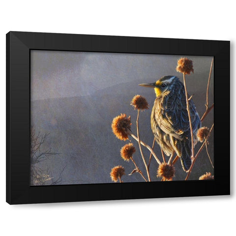 Meadowlark Black Modern Wood Framed Art Print by Vest, Chris