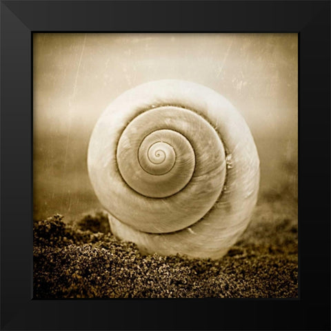 Cochlear III Black Modern Wood Framed Art Print by Hartson-Weddle, Ryan