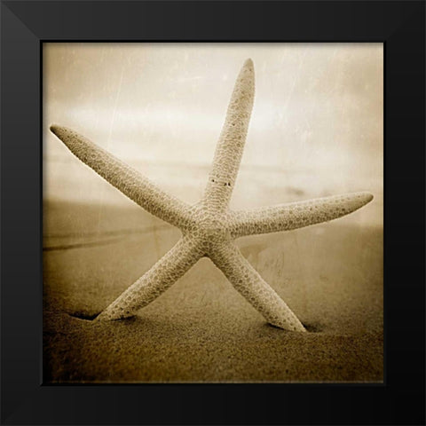 Right at Home Black Modern Wood Framed Art Print by Hartson-Weddle, Ryan