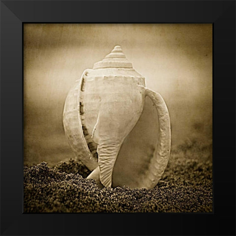 A Suitable Dwelling Black Modern Wood Framed Art Print by Hartson-Weddle, Ryan