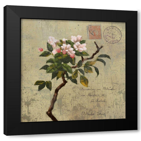 Postage I Black Modern Wood Framed Art Print with Double Matting by Novak, Rick