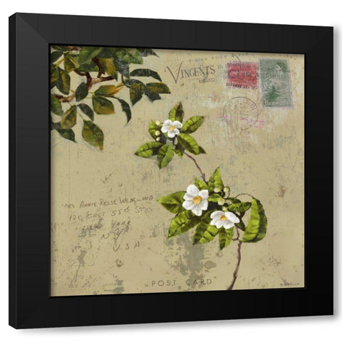 Postage III Black Modern Wood Framed Art Print by Novak, Rick