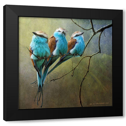 Rollers Black Modern Wood Framed Art Print with Double Matting by Vest, Chris