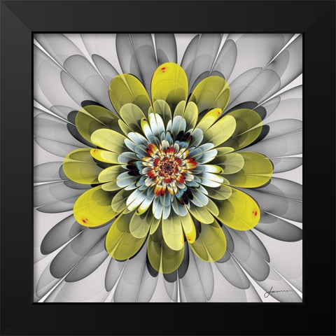 Fractal Blooms IV Black Modern Wood Framed Art Print by Burghardt, James