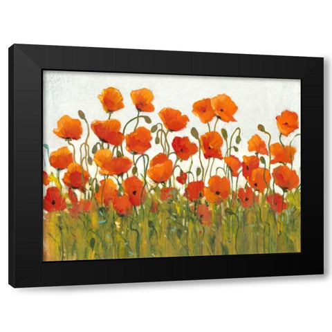 Rows of Poppies I Black Modern Wood Framed Art Print with Double Matting by OToole, Tim