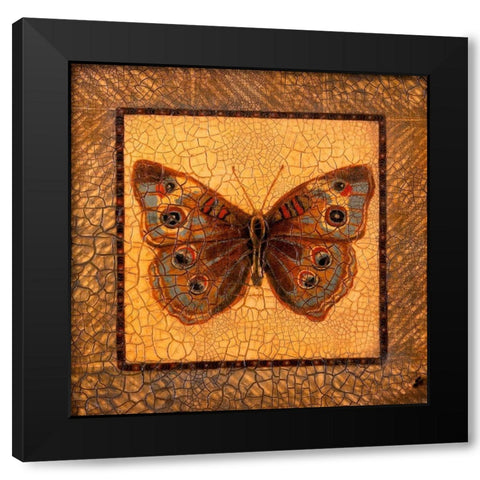 Crackled Butterfly - Buckeye Black Modern Wood Framed Art Print by Russell, Wendy