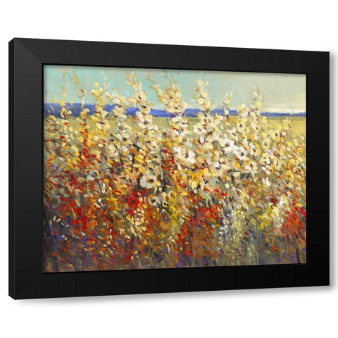 Field of Spring Flowers II Black Modern Wood Framed Art Print with Double Matting by OToole, Tim