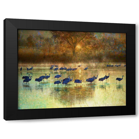 Cranes in Mist II Black Modern Wood Framed Art Print by Vest, Chris