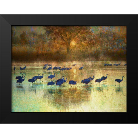 Cranes in Mist II Black Modern Wood Framed Art Print by Vest, Chris